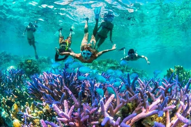 Blue Lagoon Snorkeling